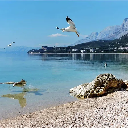 Πανσιόν Sonja Tučepi