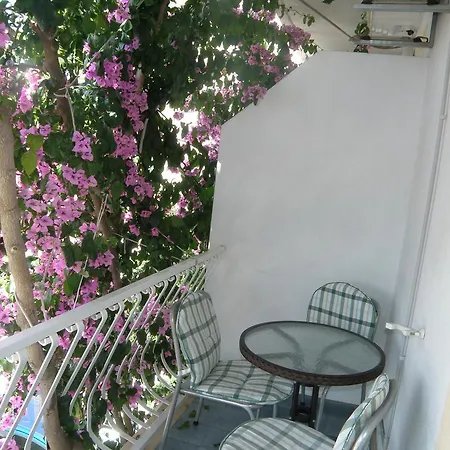 Guest house Sonja 3*